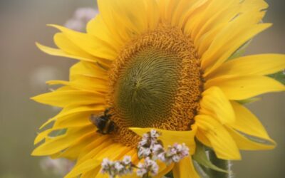 Sleutel tot zelfliefde